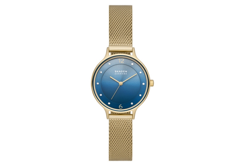 Skagen watch strap SKW3058
