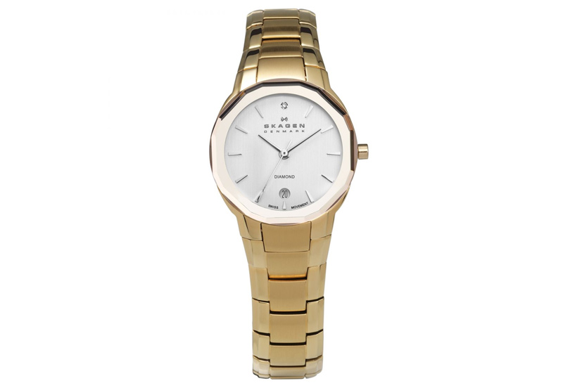 Skagen watch band 822SGXS