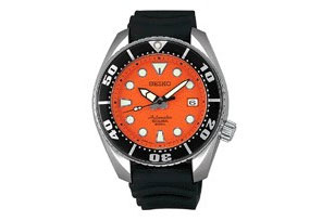 Seiko watchband SBDC005J