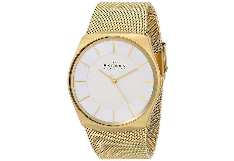 Skagen watchstrap SKW6069
