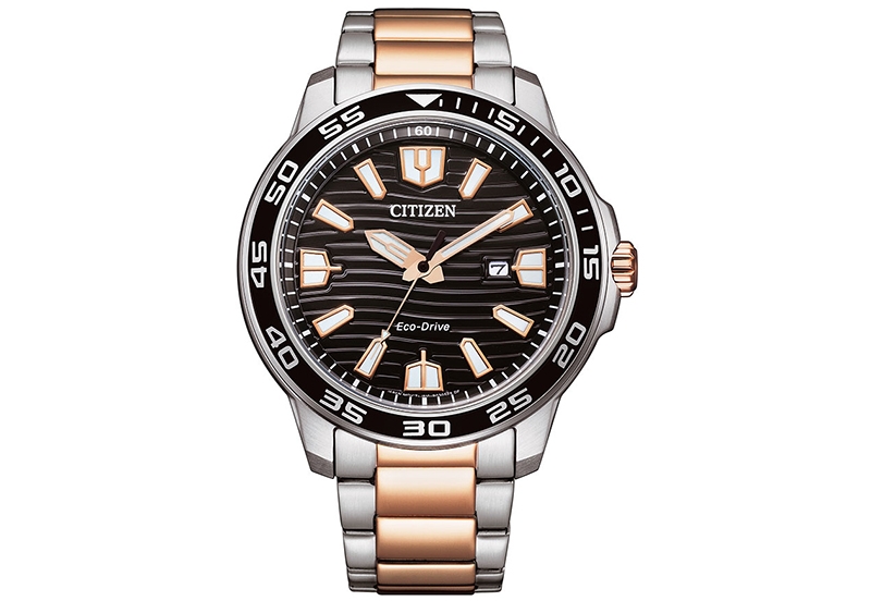 Citizen Watch strap AW1524-84E