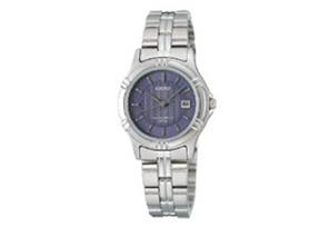 Seiko watchband SXE617P1