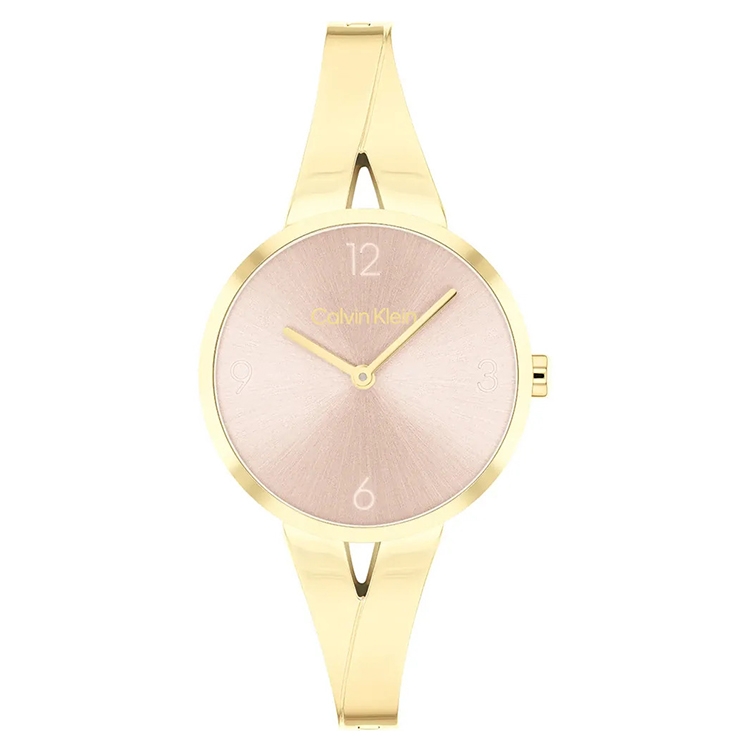 Calvin Klein watch-band 25100027 Joyful