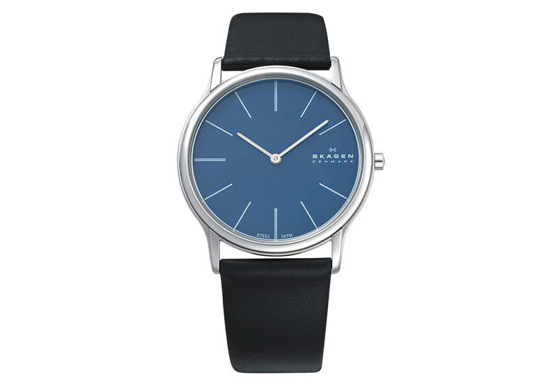 Skagen watch band 858XLSLN