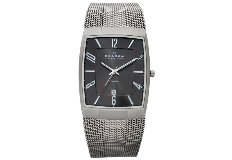 Skagen watch band 851LTTM