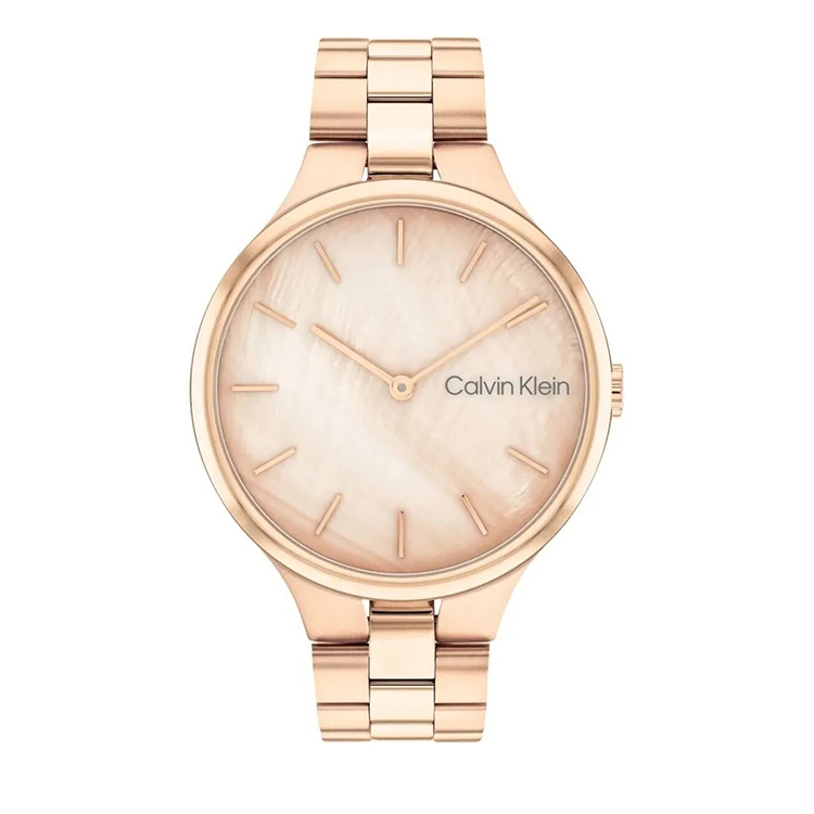 Calvin Klein watch-band 25200427 Linked