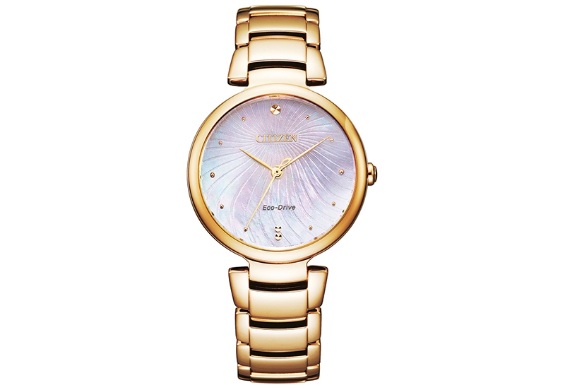 Citizen Citizen L EM0853-81Y watch strap