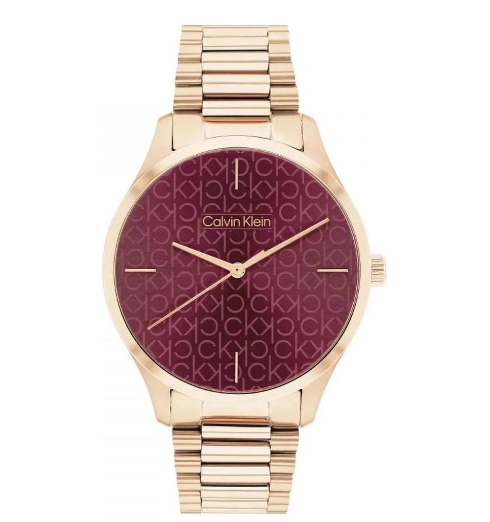 Calvin Klein watch-band 25200169 Iconic