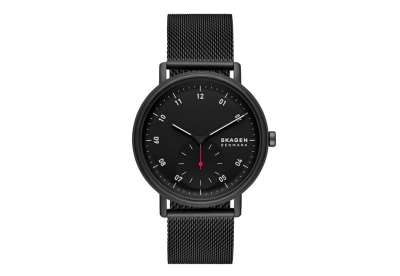 Skagen watch strap SKW6892
