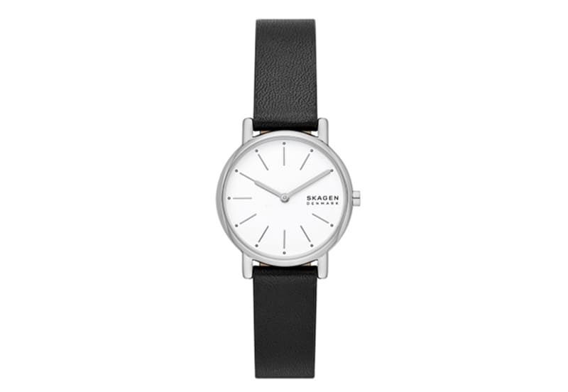 Skagen Watch Strap SKW3120