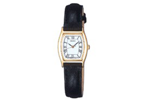 Seiko watchband SXFH50P1